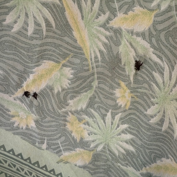 Kantha Bae Rasgulla Silk Muu - Picture 5 of 8